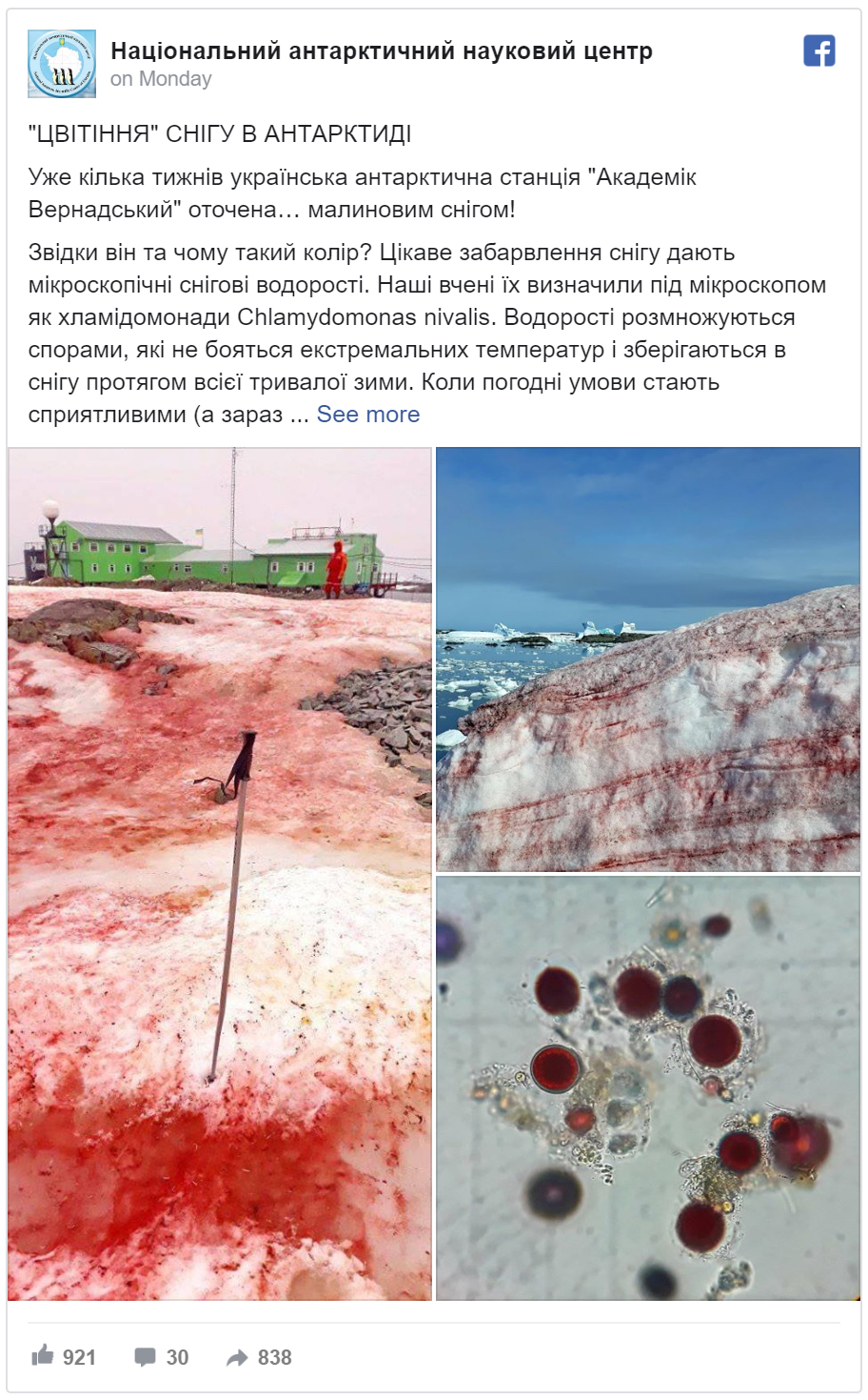 Astounding Images of Antarctica’s Blood-Red Ice Are Really an Ominous Climate Sign