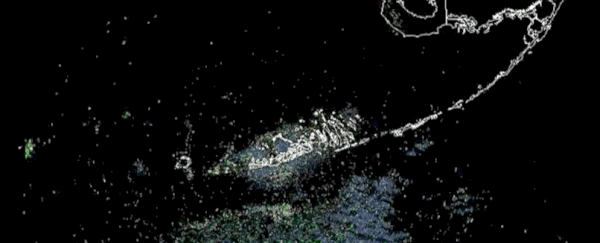 This is what it looks like when a colossal bird migration obscures a rain radar
