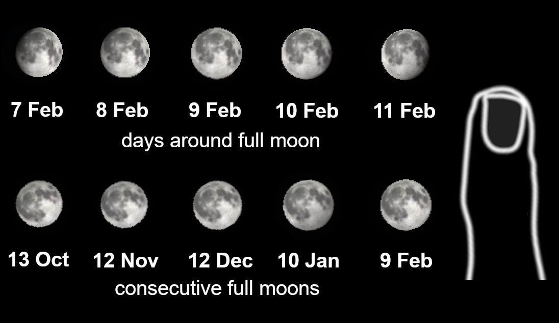 Size comparisons of the Moon for consecutive days and full moons. (Daniel Brown)