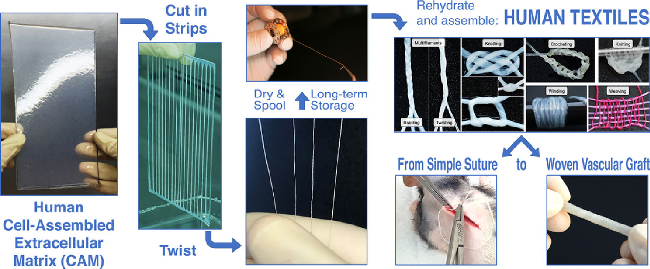 graphical abstract human skin yarn