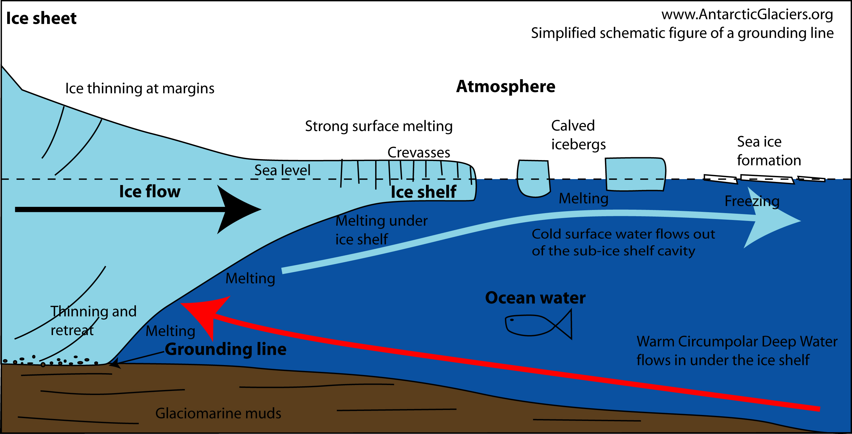 grounding line image