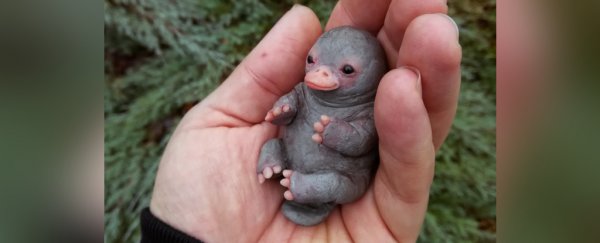 That excruciatingly cute viral 'baby platypus' is actually... plastic