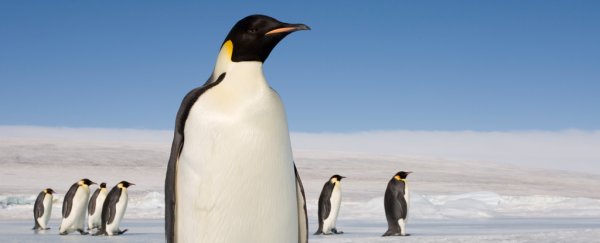 Antarctica just cracked a disturbing new temperature record of 20 degrees Celsius
