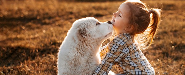 These 8 things that humans do really confuse our dogs