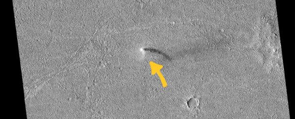 NASA captures rare photo of a dust devil swirling on the surface of mars