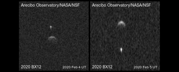 An asteroid totally just mooned Earth