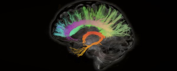 Monkeys wake from anaesthetic when brain region linked to consciousness is stimulated