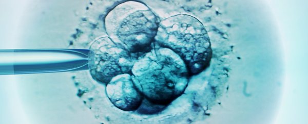 Who were the first CRISPR-edited babies?