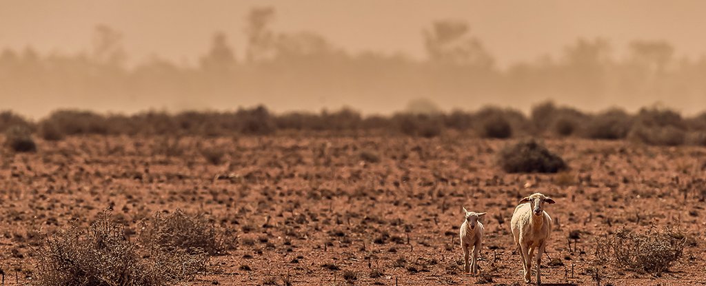 Scientists Warn Multiple Overlapping Crises Could Trigger 'Global Systemic Collapse' - ScienceAlert