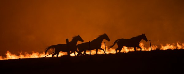 2020 has barely started and we've already broken another global heat record