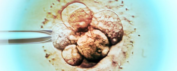 World's first baby has been born from a cancer survivor's frozen, lab-matured egg