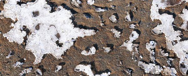 Rapid permafrost collapse is underway, disintegrating landscapes and our predictions
