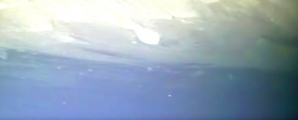 Scientists Grab First Glimpse Deep Underneath Antarctica's Unstable Thwaites Glacier
