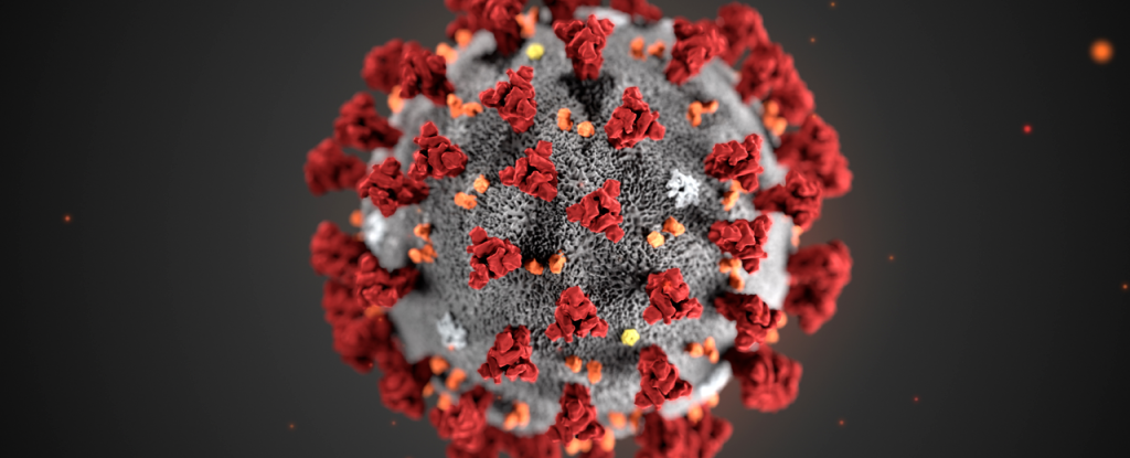 Wuhan Coronavirus Likely to Soon Be Declared a Pandemic ...