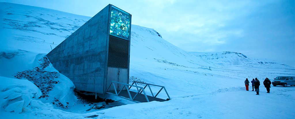 The Arctic Doomsday Seed Vault Just Stashed Away 60 000 More