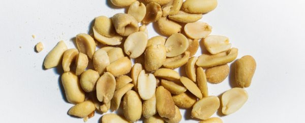 The FDA just approved its first drug to treat peanut allergies in kids
