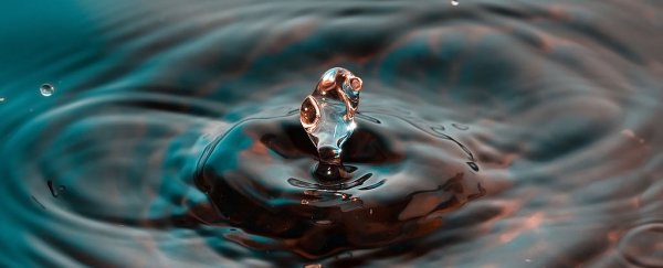 Water seems to have not one, but two distinct structures in its liquid state