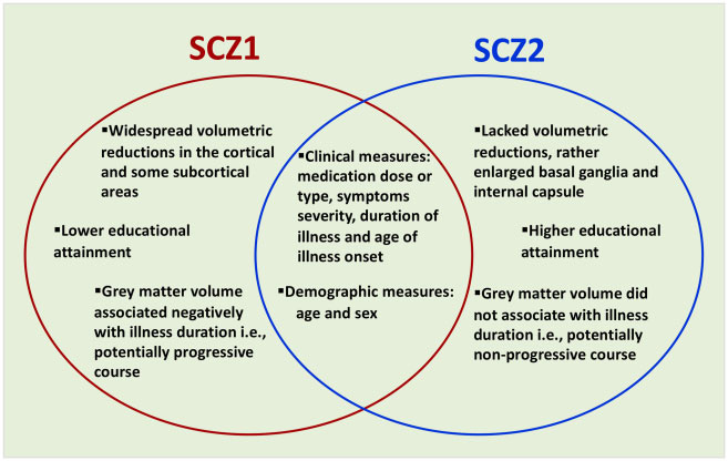 type 1 and type 2 summary