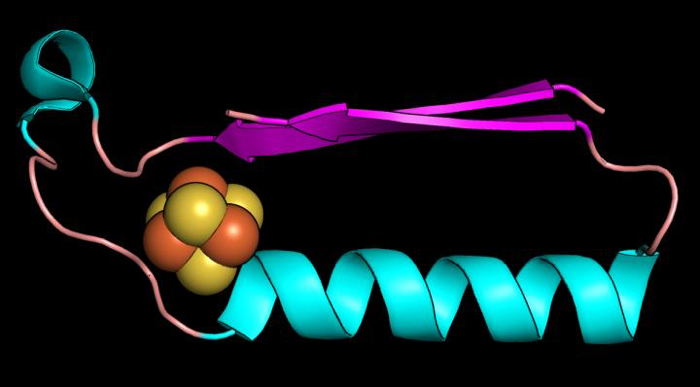 010 ancient protein fold 2