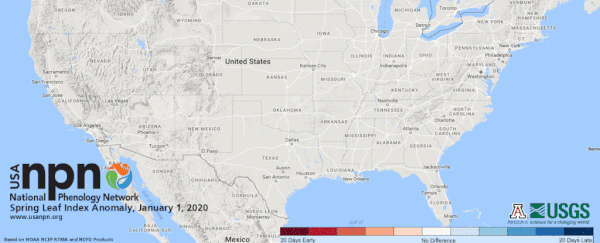 Spring has arrived early in the US, and that's not necessarily a good thing