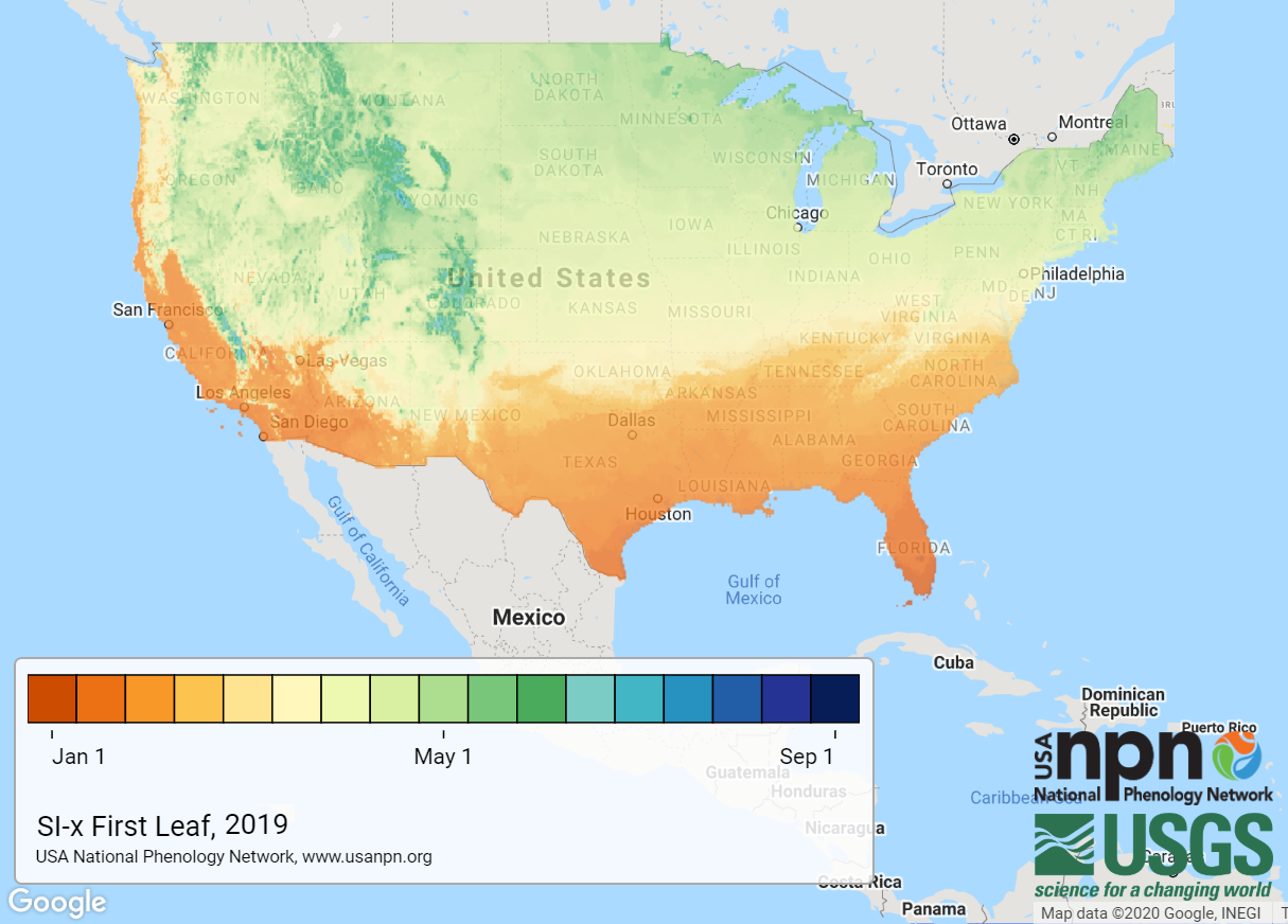 When enough warmth had accumulated to trigger springtime plant activity in 2019. (USA National Phenology Network)
