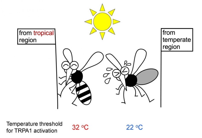 Oubliez vos problèmes en regardant ces illustrations scientifiques étranges mais totalement réelles (vidéo) By Jack35 Illos-5