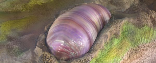 Earliest ancestor of many modern animals may have been found in Australia