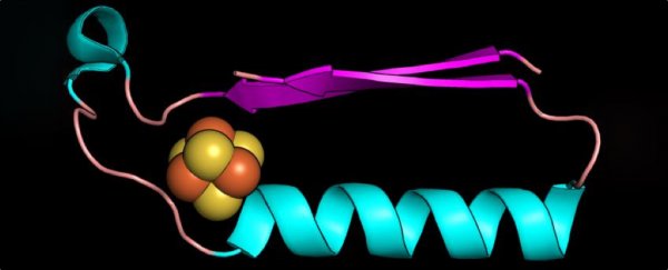 Scientists may have discovered the shape of the very first proteins that started life