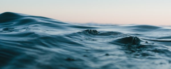 Ocean creatures have been protecting us from millions of viruses this entire time