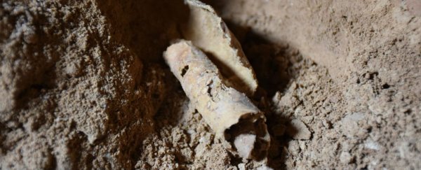 Entire collection of Dead Sea Scroll fragments at US Museum turns out to be fake