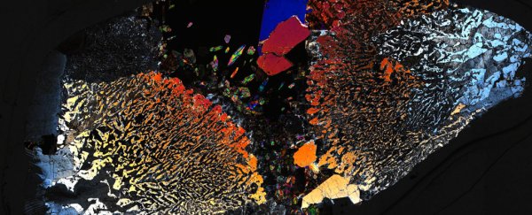 Microbial Life Has Been Found Deep in Earth's Crust Beneath the Ocean Floor