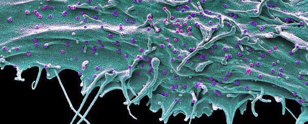 Second person declared 'cured' of HIV, with no trace of infection after nearly 3 years