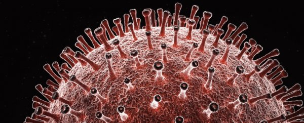Coronavirus could be a 'chimera' of two different viruses, genome analysis suggests