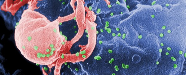 What is HIV?