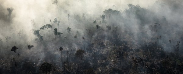 The Amazon Is Almost Fully Saturated, And Could Flip to Emitting Carbon in 15 Years