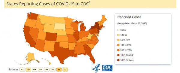 US will have 'millions of cases' of COVID-19, says leading infectious disease expert