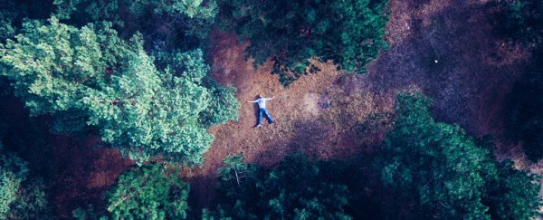 Scientists recommend these 4 'weapons' in our war against climate change
