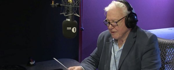 Who is David Attenborough?