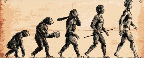 That classic image everyone uses to illustrate evolution is actually wrong