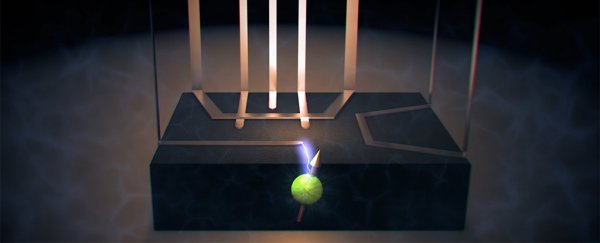 Australian engineers just accidentally solved a 58-year-old quantum mystery