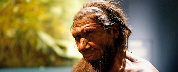 Surprise discovery reveals Neanderthals loved seafood and were excellent fisherpeople