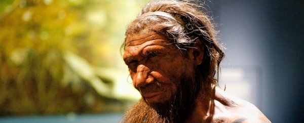 Surprise Discovery Reveals Neanderthals Loved Seafood And Were ...