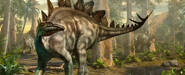 The first stegosaur tracks in Scotland were just discovered on this windy island