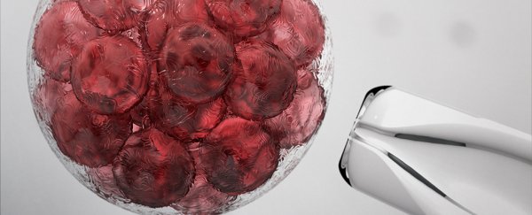 What are stem cells?