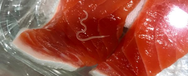 Worms in raw seafood have increased 280x, but it's not sushi we should worry about