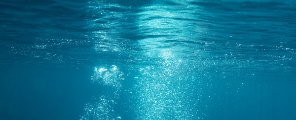 Giant freshwater reserve discovered deep under the seabed off New Zealand