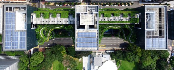Even tiny city gardens could provide us with tons of fresh produce, UK study shows
