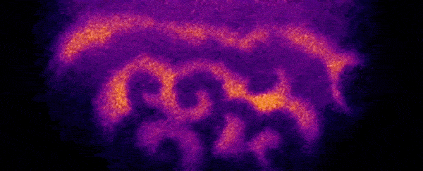 Life begins with mesmerising waves swirling over microscopic bodies, study reveals