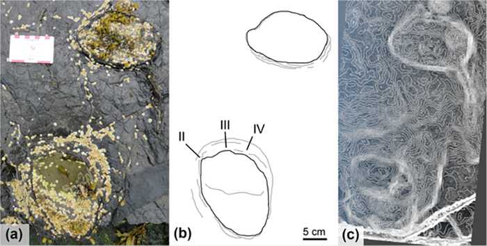 stegosaur footprints skye