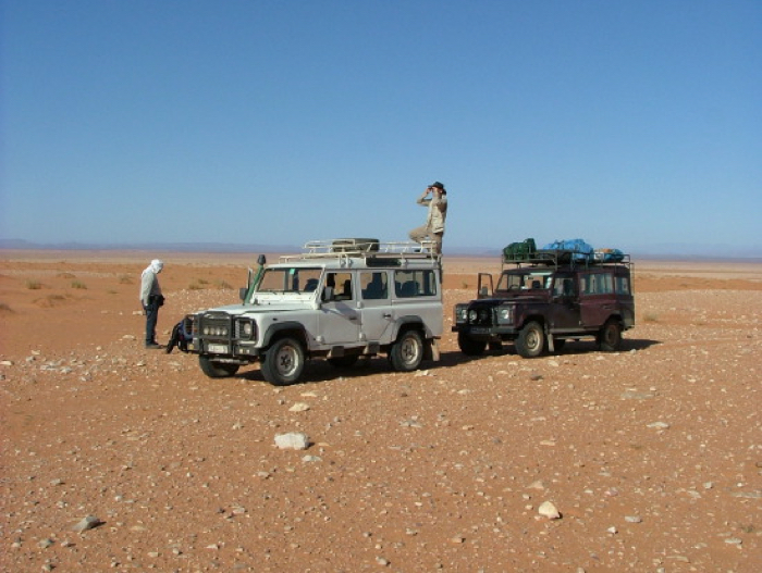 Paleontológovia zistili, že najnebezpečnejšie miesto v dejinách Zeme bola Sahara